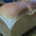 普通の食パン