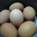 簡単でエコな茹で卵の作り方