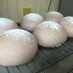 自家製酵母ストレート法♡ハイジの白パン♡