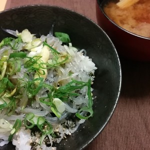 生シラス丼 レシピ 作り方 By さっちゃん１号 クックパッド 簡単おいしいみんなのレシピが352万品