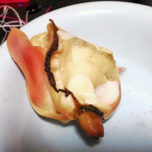 活ホッキ貝の酒蒸し レシピ 作り方 By 淺やん クックパッド 簡単おいしいみんなのレシピが356万品