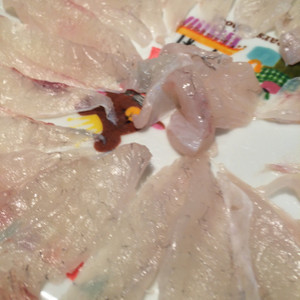 釣魚 ショウサイフグのカルパッチョ風 レシピ 作り方 By 料理人花吉 クックパッド 簡単おいしいみんなのレシピが356万品