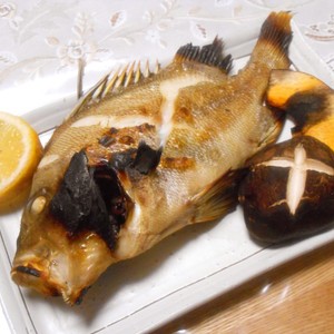 タモリ セトダイ の塩焼き レシピ 作り方 By 明石浦漁業協同組合 クックパッド 簡単おいしいみんなのレシピが354万品