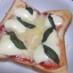 自家製バジルでマルゲリータ風ピザトースト