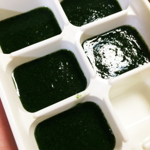 離乳食 ほうれん草のペースト 初期 レシピ 作り方 By かなぴゃん クックパッド 簡単おいしいみんなのレシピが360万品