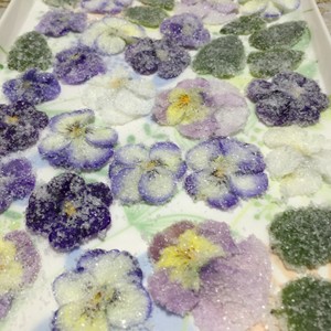 ビオラ エディブルフラワー の砂糖漬け レシピ 作り方 By 前田量子 クックパッド 簡単おいしいみんなのレシピが358万品
