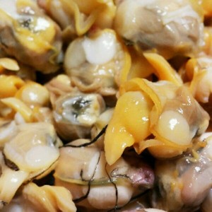 バカガイ いえ シオフキ 貝 の処理 レシピ 作り方 By フィノ クックパッド 簡単おいしいみんなのレシピが354万品