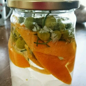 初夏のあま い香り ジャスミンのお酒 レシピ 作り方 By かえるのりんりん クックパッド 簡単おいしいみんなのレシピが356万品