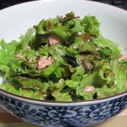 子供も食べちゃう☆ちしゃもみ by いぶ母ちゃん 【クックパッド】 簡単おいしいみんなのレシピが339万品