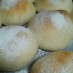 自家製酵母の基本の丸パン
