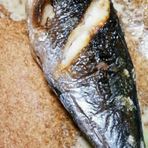 これが定番 たかべ塩焼き レシピ 作り方 By はまち クックパッド 簡単おいしいみんなのレシピが359万品