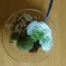 小豆と豆腐抹茶白玉＊和のプチパフェ。