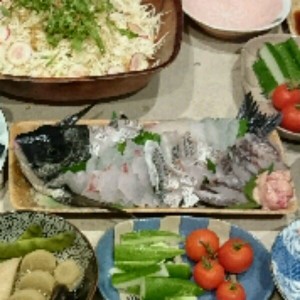 チヌ クロダイ の活け造り レシピ 作り方 By 明石浦漁業協同組合 クックパッド 簡単おいしいみんなのレシピが356万品