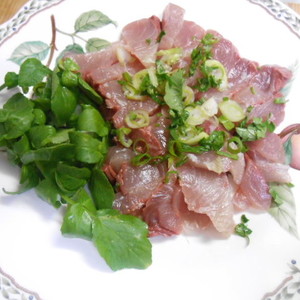 塩麹で臭みがなくなりまろやか刺身 レシピ 作り方 By Moe ０８３１ クックパッド 簡単おいしいみんなのレシピが359万品