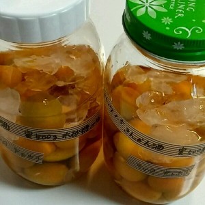 甘さ控えめ きんかん酒 レシピ 作り方 By Hide クックパッド 簡単おいしいみんなのレシピが364万品