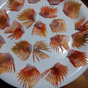超美味 カサゴのヒレ酒 簡単だよ レシピ 作り方 By ひげじぃ クックパッド 簡単おいしいみんなのレシピが353万品