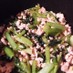小松菜と合挽き肉の小鉢