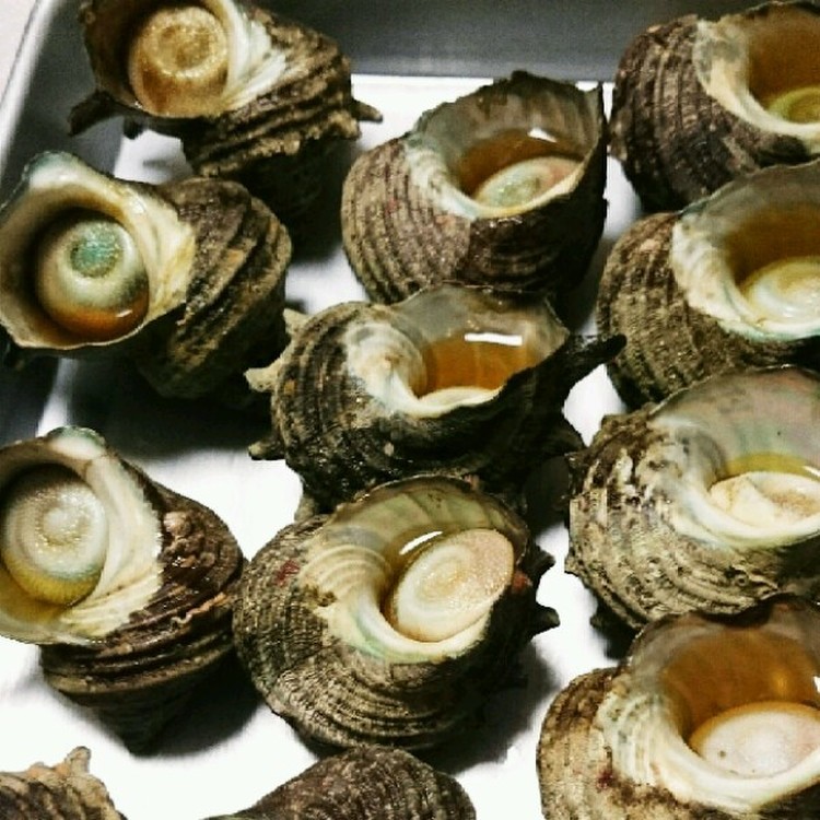食べやすい サザエの甘辛煮 レシピ 作り方 By くまめし クックパッド 簡単おいしいみんなのレシピが378万品