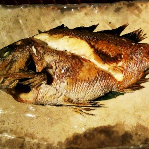 お食い染めにも 鯛塩焼き レシピ 作り方 By はまち クックパッド 簡単おいしいみんなのレシピが353万品