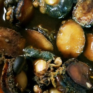 トコブシの簡単柔らか煮 レシピ 作り方 By 魚屋ととちん クックパッド 簡単おいしいみんなのレシピが361万品