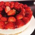 本格苺のレアチーズケーキ