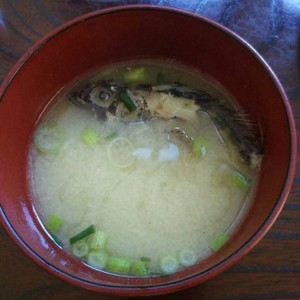 人気検索トップ10 ガシラ カサゴ味噌汁 レシピ 作り方 By とっても めーこ クックパッド 簡単おいしいみんなのレシピが361万品