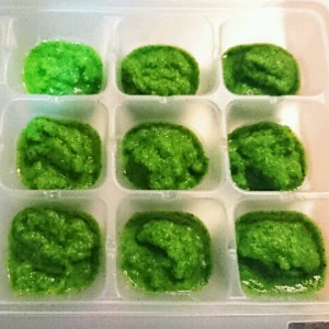 ブレンダーで離乳食 ブロッコリー レシピ 作り方 By Njaya クックパッド 簡単おいしいみんなのレシピが354万品