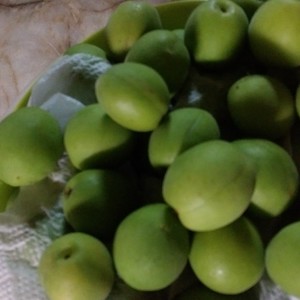 すっきり甘い カリカリ梅 梅ジュース レシピ 作り方 By りんこ クックパッド 簡単おいしいみんなのレシピが358万品