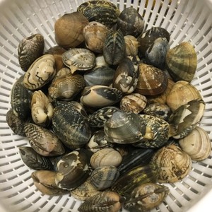 死んだアサリの見分け方 レシピ 作り方 By みっこ クックパッド 簡単おいしいみんなのレシピが361万品