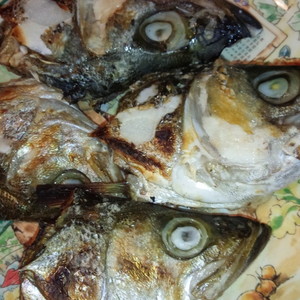 スズキのカブト焼き レシピ 作り方 By 明石浦漁業協同組合 クックパッド 簡単おいしいみんなのレシピが354万品