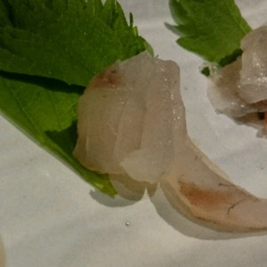 コチ マゴチ の刺身 レシピ 作り方 By 明石浦漁業協同組合 クックパッド 簡単おいしいみんなのレシピが364万品