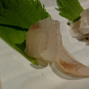 コチ マゴチ の刺身 レシピ 作り方 By 明石浦漁業協同組合 クックパッド 簡単おいしいみんなのレシピが366万品