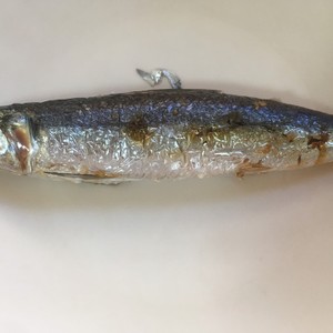 うるめいわしの塩焼き レシピ 作り方 By 湯のみ クックパッド 簡単おいしいみんなのレシピが356万品