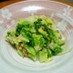 白菜大量消費☆白菜とツナの簡単サラダ