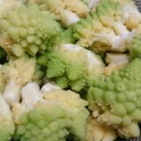 801d196f148b33b750f55aca682e4c6e