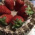 苺のチョコレートショートケーキ
