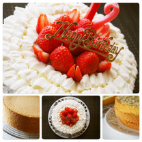 4986690015a6fda994b1c508a30d562e