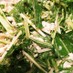 簡単 水菜とササミのピリ辛ゴママヨサラダ