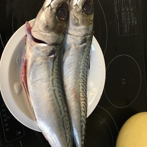 ハサミだけ 簡単な鯖のさばき方 レシピ 作り方 By Tabi Chan クックパッド 簡単おいしいみんなのレシピが360万品