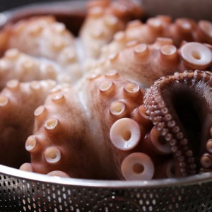 生タコを美味しく柔らかく茹でるゆで方 レシピ 作り方 By Mihotti33 クックパッド