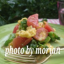 D5e052784cdf245e5c8bec98dc2b5608