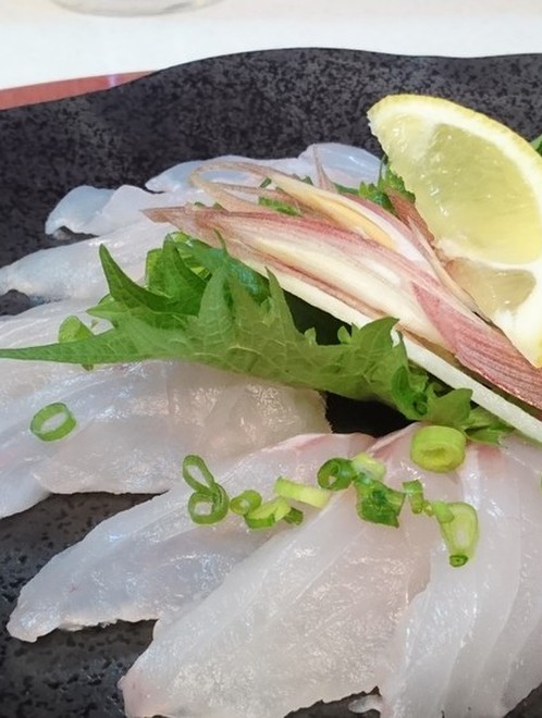 魚を捌こう 赤ハタの刺身 薄造り編 レシピ 作り方 By 戦うコックサン クックパッド 簡単おいしいみんなのレシピが376万品