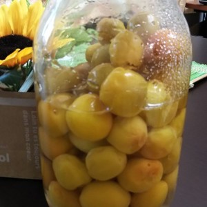 冷凍穴あけ灰汁抜きなし超簡単 梅シロップ レシピ 作り方 By Da Abll39 クックパッド 簡単おいしいみんなのレシピが358万品