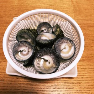 簡単 しったか貝 ニナ貝 の塩茹でのつくれぽ クックパッド 簡単おいしいみんなのレシピが361万品