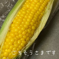 B09e86ba1274a66b499850ac987887ff