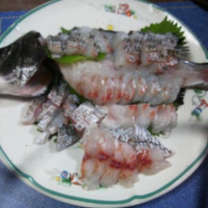 チヌ クロダイ の活け造り レシピ 作り方 By 明石浦漁業協同組合 クックパッド 簡単おいしいみんなのレシピが354万品