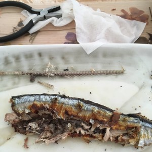 さんまの食べ方 骨抜き一発 レシピ 作り方 By Hash五阡円屋絽地 クックパッド 簡単おいしいみんなのレシピが356万品