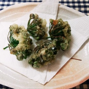 ニラの花の天ぷら レシピ 作り方 By せつぶんひじき クックパッド 簡単おいしいみんなのレシピが367万品