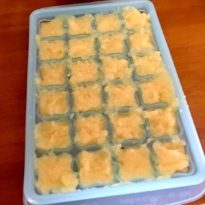 変色しないすりおろしりんご 離乳食に便利 レシピ 作り方 By ゆっけ クックパッド 簡単おいしいみんなのレシピが360万品