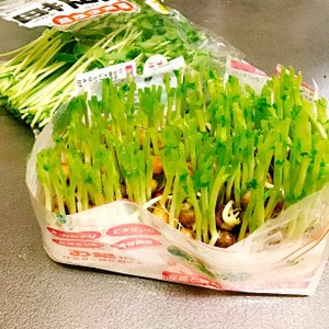 豆苗の切り方 レシピ 作り方 By Mati クックパッド 簡単おいしいみんなのレシピが361万品